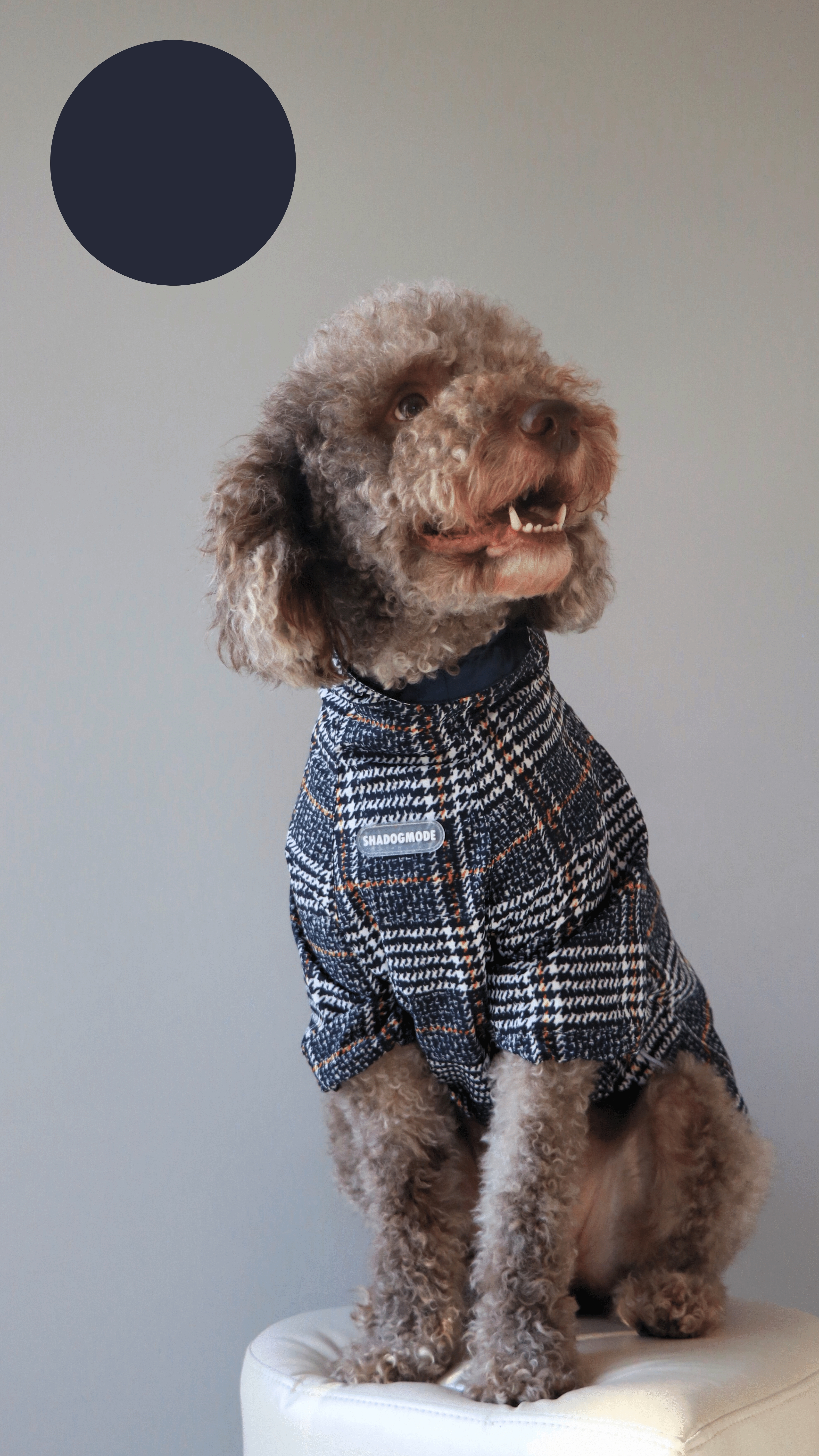 PLAID YAĞMURLUK
